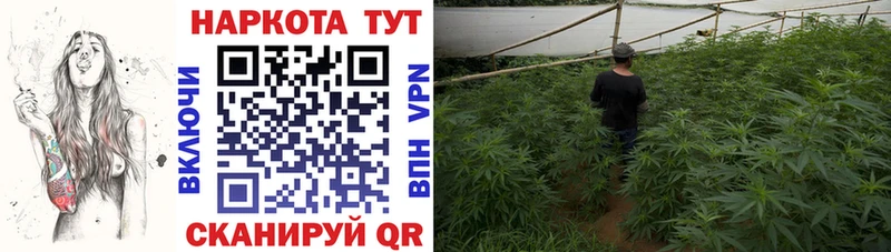 Где купить наркоту Разумное Кокаин  Меф  A PVP  Конопля  Гашиш 