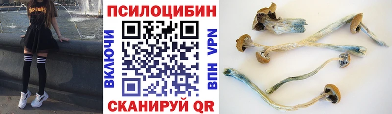 гидра зеркало  Разумное  Галлюциногенные грибы ЛСД 